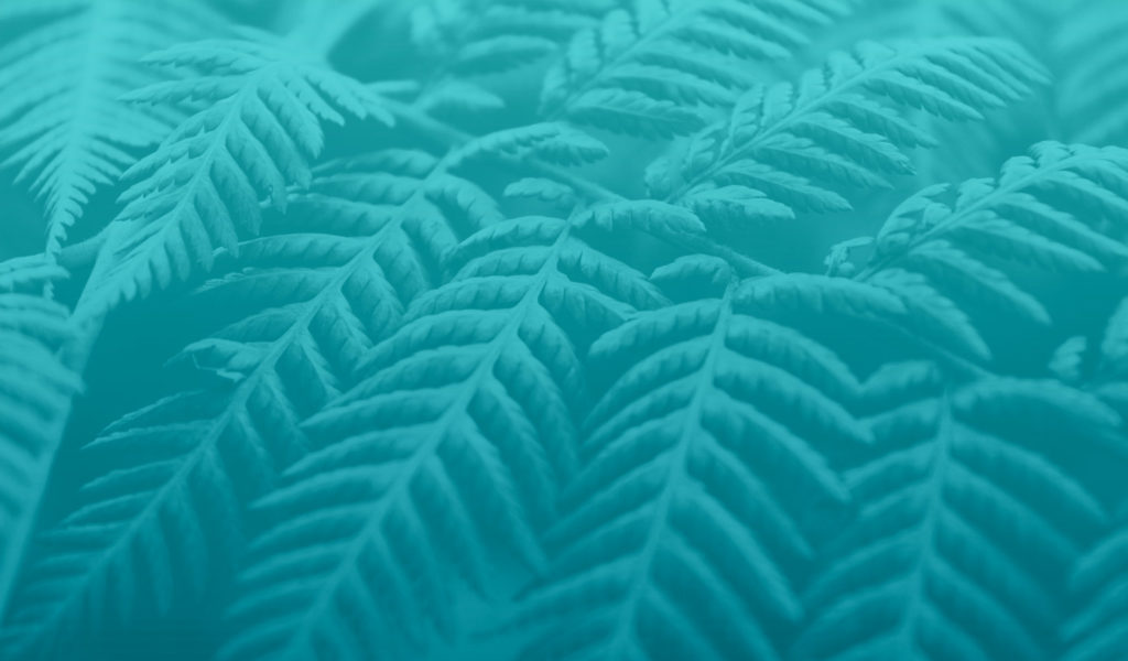 teal-bg-leaf